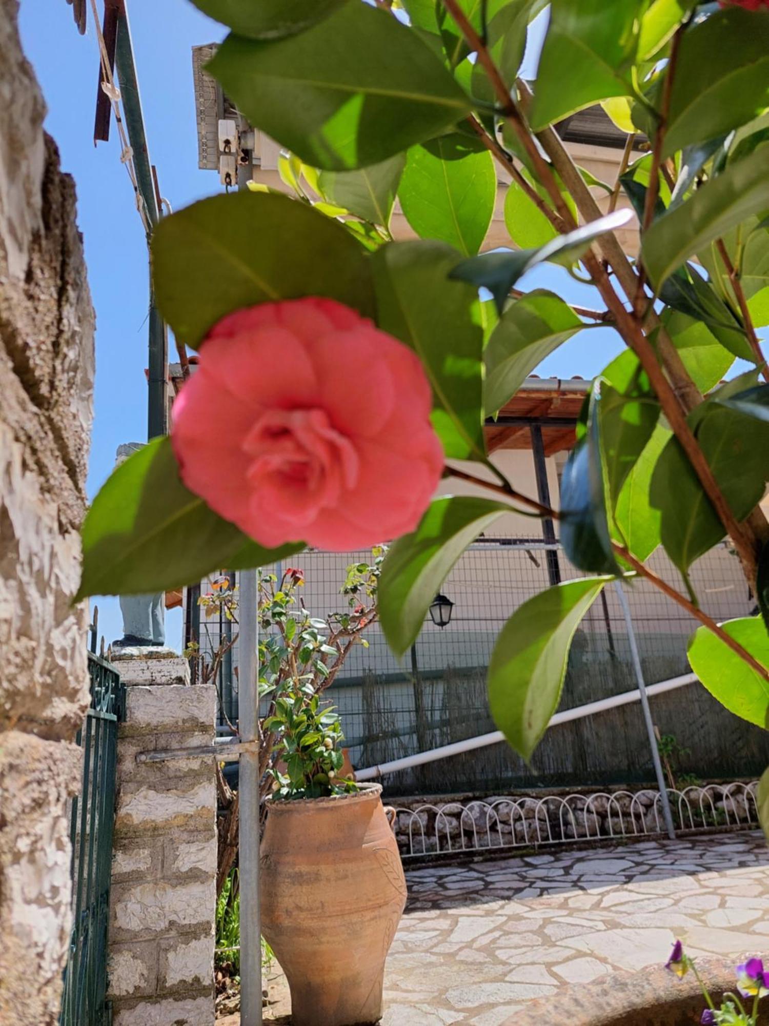 Αρτέμιδα Plus Karpenisi Apartment Buitenkant foto